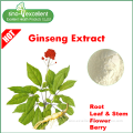 Panax Ginseng Flower Extract powder